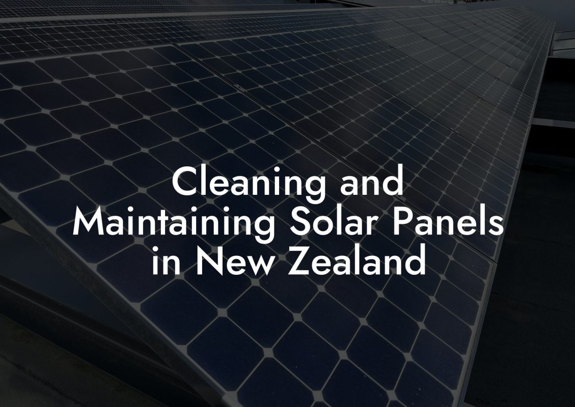 Cleaning and Maintaining Solar Panels in New Zealand