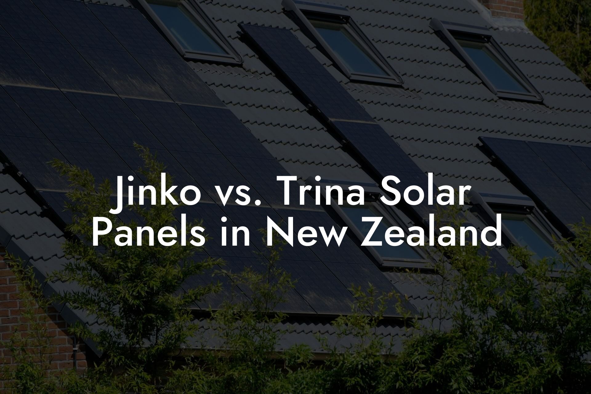 Jinko vs. Trina Solar Panels in New Zealand